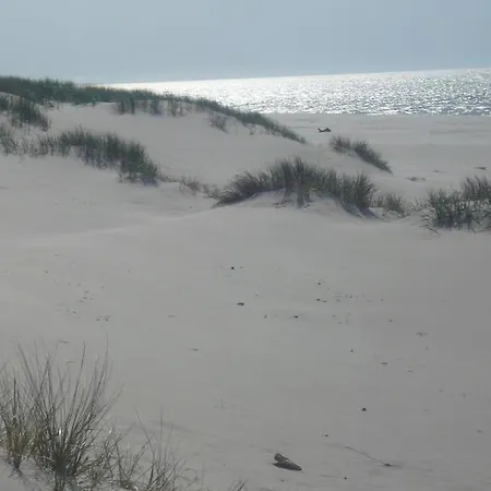 Letniskowy * Lokciowe