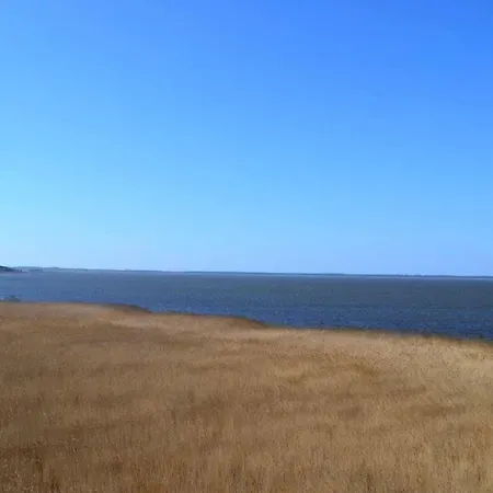 Letniskowy *