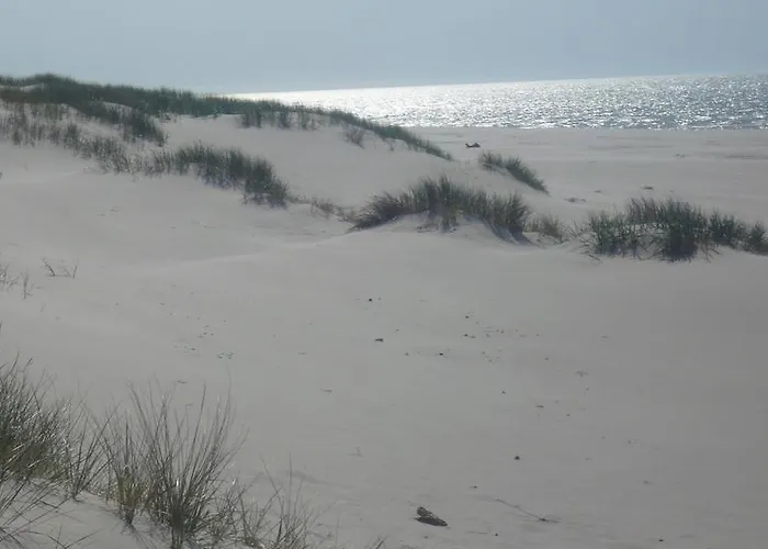 Letniskowy * Lokciowe