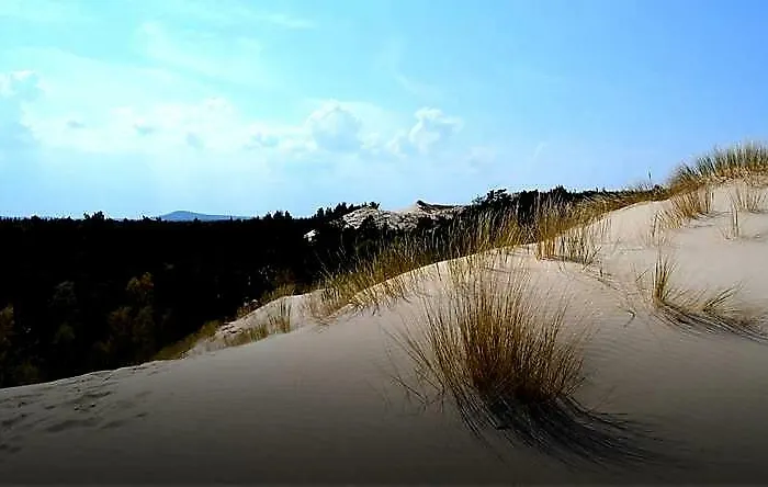 Letniskowy * Lokciowe