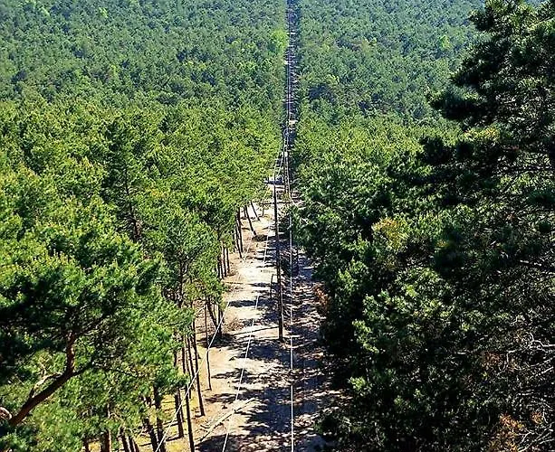 Vakantieboerderij Letniskowy *